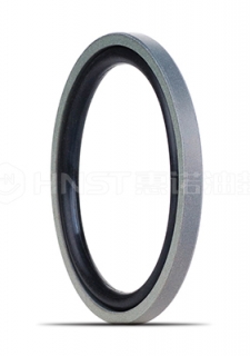 格萊圈—格萊圈PS110是一種孔用活塞桿密封圈，也叫階梯組合密封件。